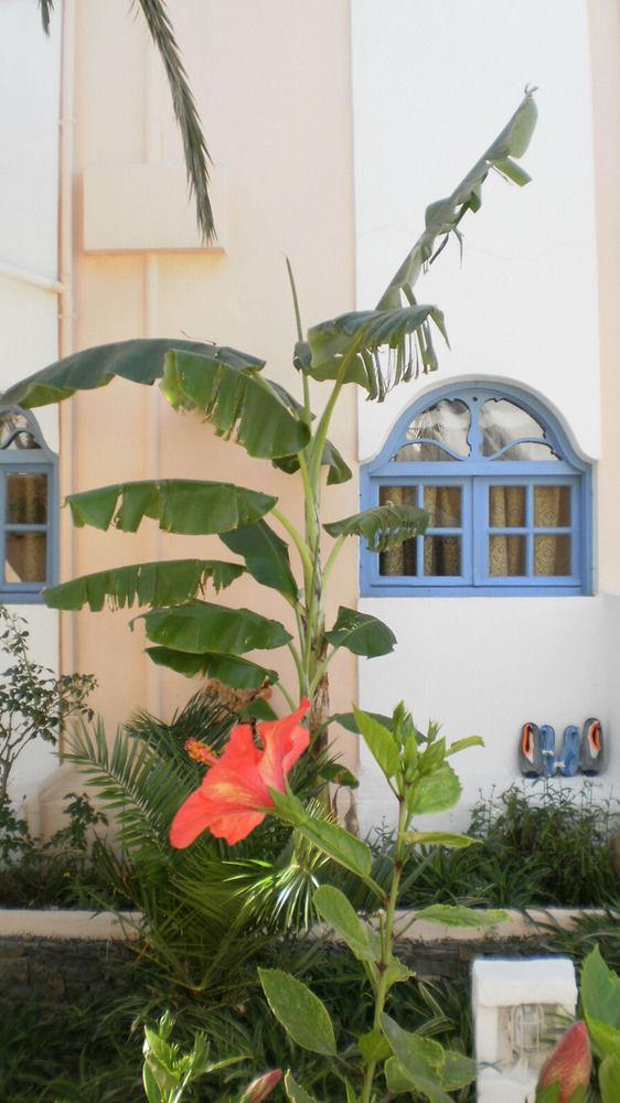 Sirena Apartment